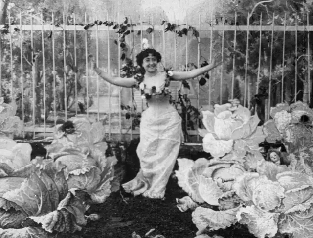 La Fée aux choux